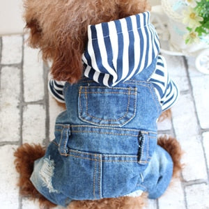 Jean Hoodie Casual Wear
