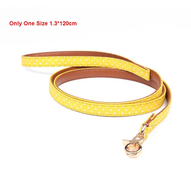 Bandana with Collar and Leash for Dogs and Cats