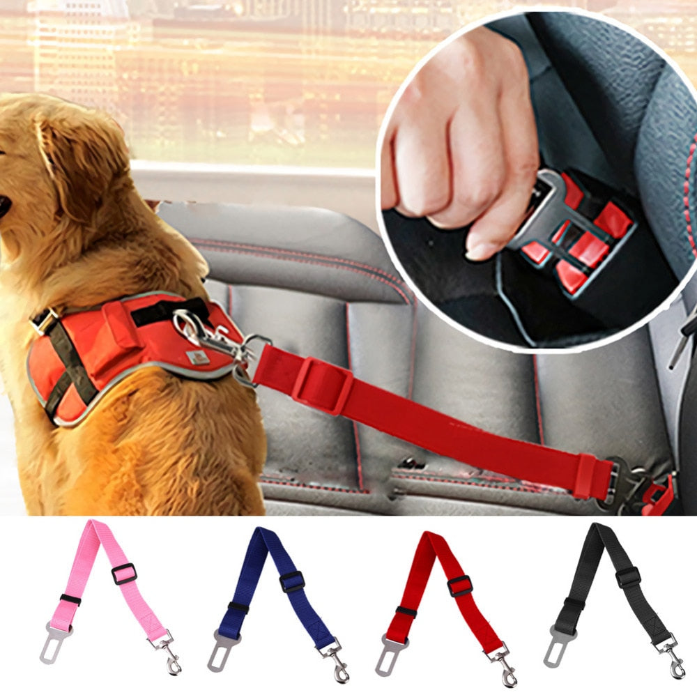 Vehicle Seatbelt Harness Leash