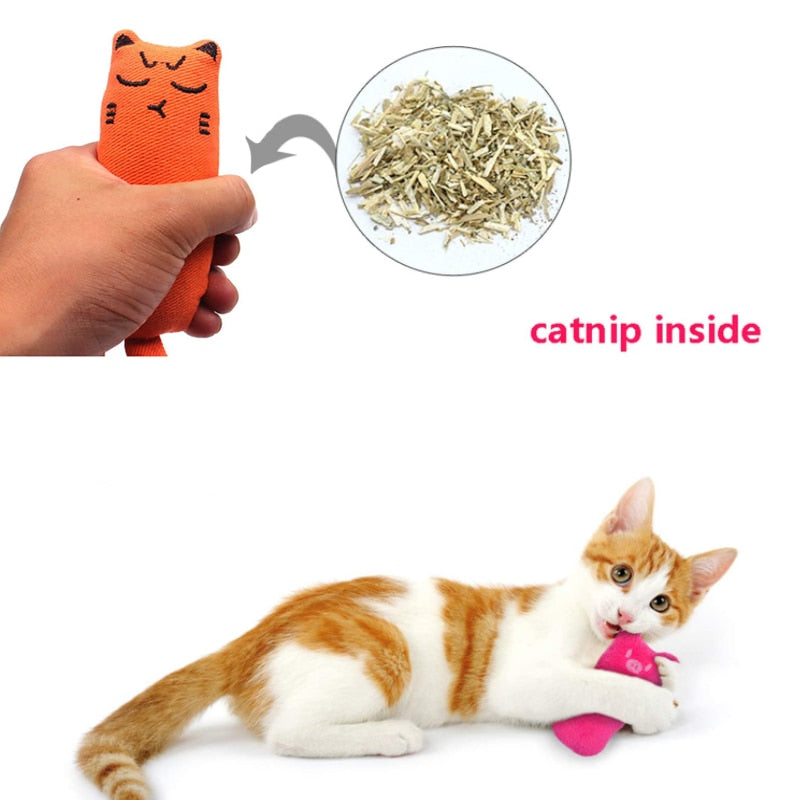 Rustle Sound Catnip