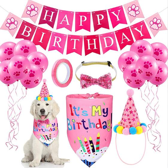 Birthday Bundle Kit for Dogs and Cat