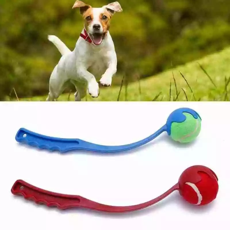 Interactive Ball Toy Training