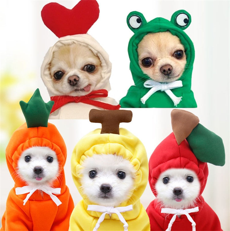 Cute Fruit Costume For Pets