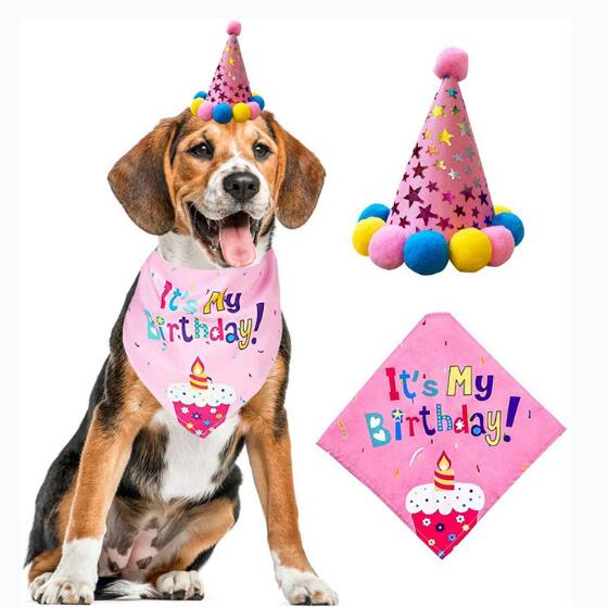 Birthday Bundle Kit for Dogs and Cat