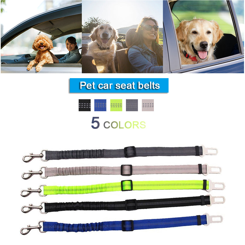 Pet Safety Belt for Cars