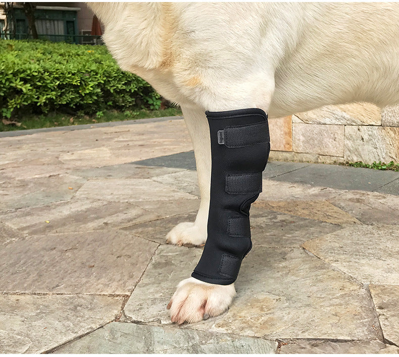 Pet Hock Brace