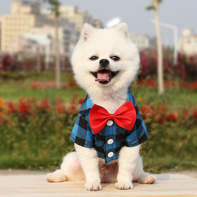 Elegant Dog Suit for Wedding or Special Occasion