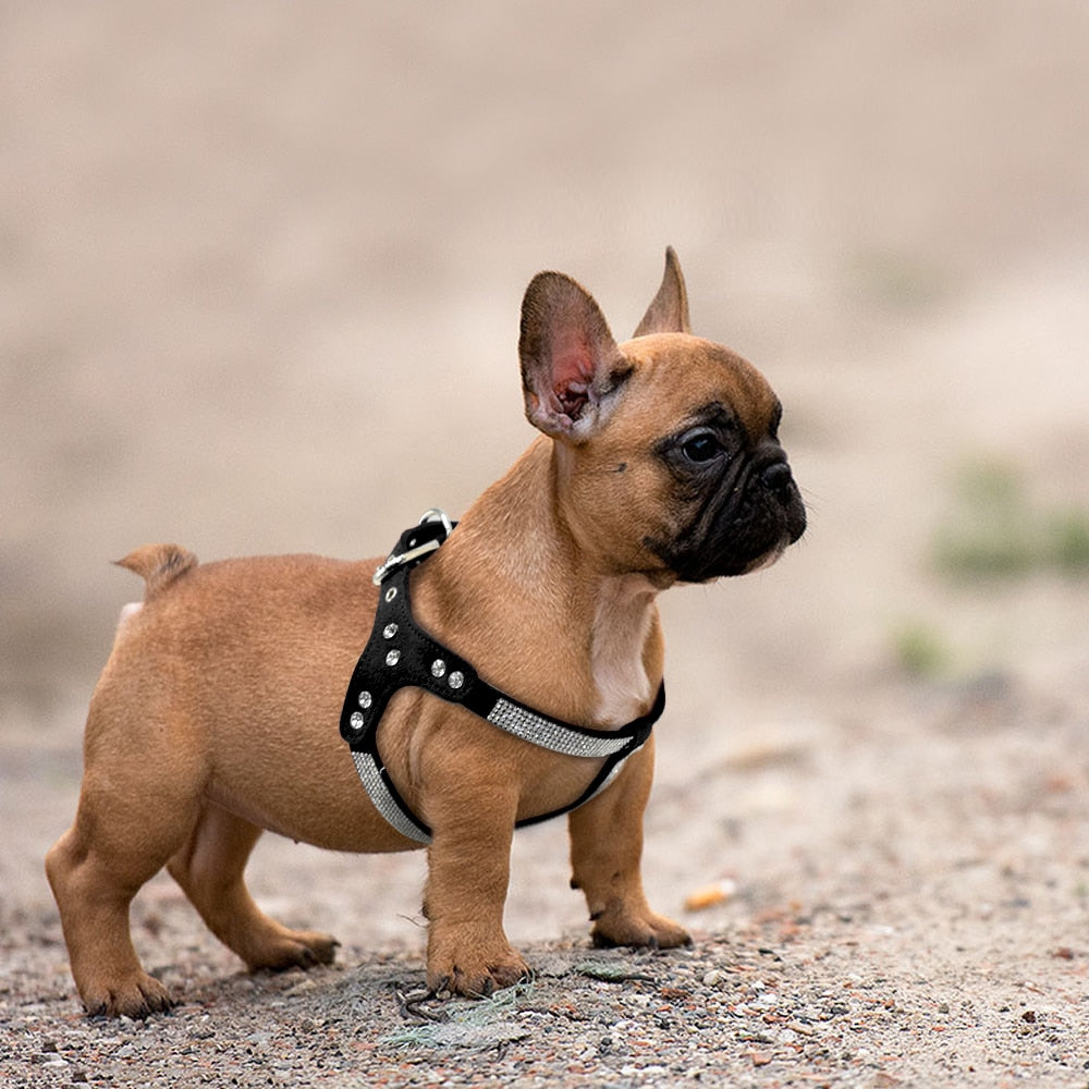 Soft Suede Leather Puppy Dog Harness