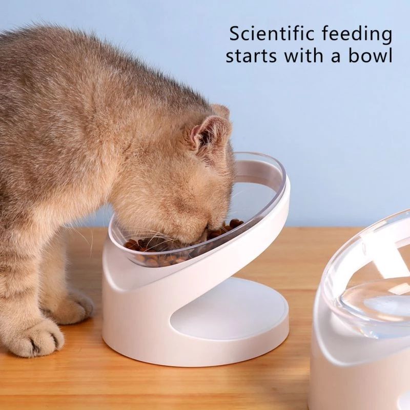 Cat Rice Bowl with Protective Cervical Feeder