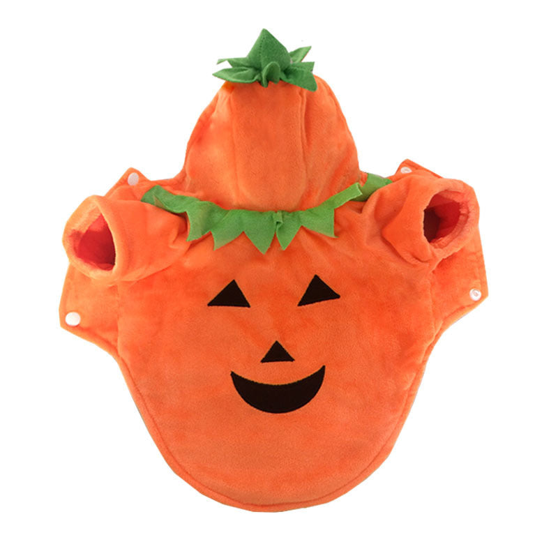 Halloween Pumpkin Costume