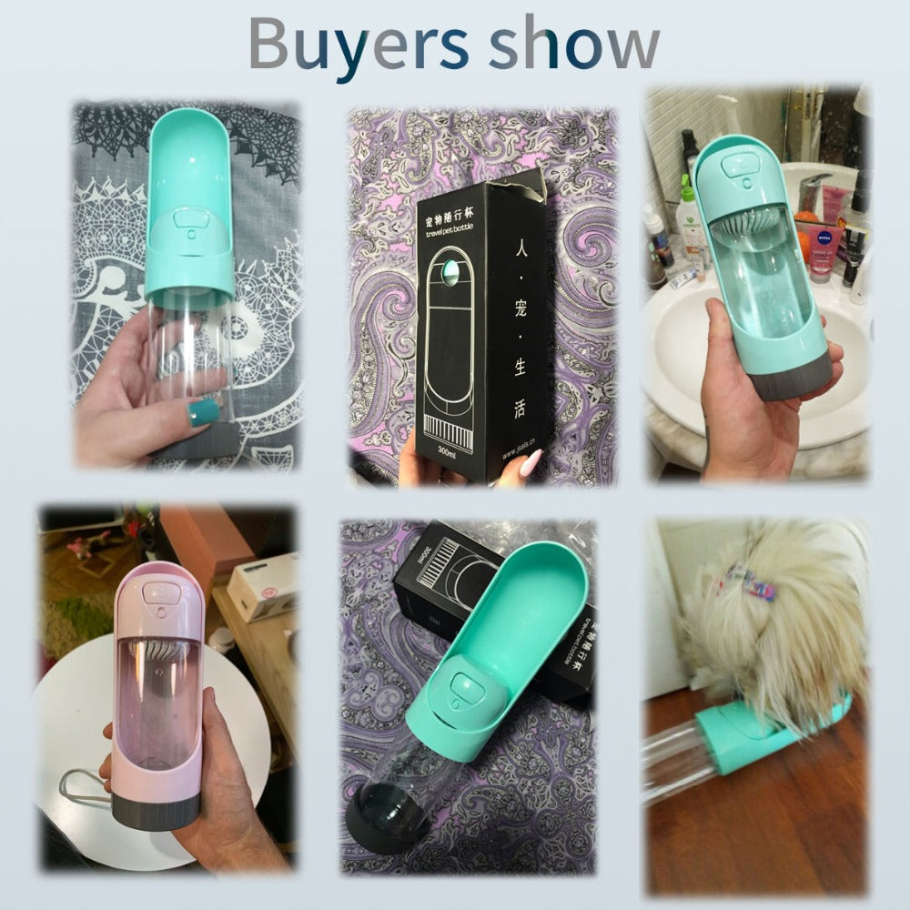 Portable Water Bottle