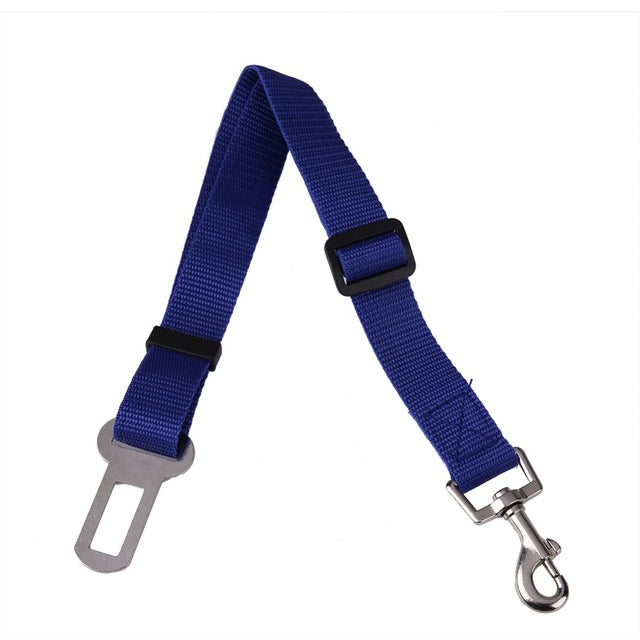 Vehicle Seatbelt Harness Leash