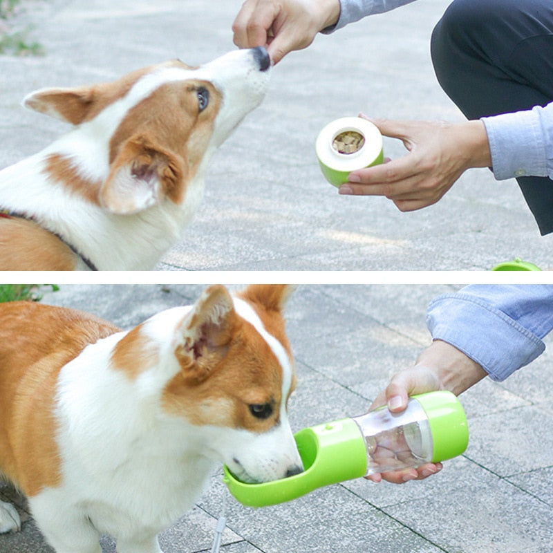 Portable Water Bottle