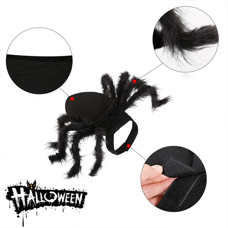 Soft Spider Costume for Cats and Dogs