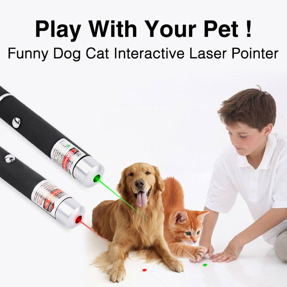 Interactive Laser Pen Pointer Toy