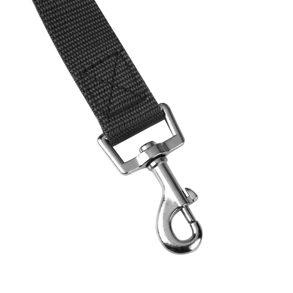 Vehicle Seatbelt Harness Leash