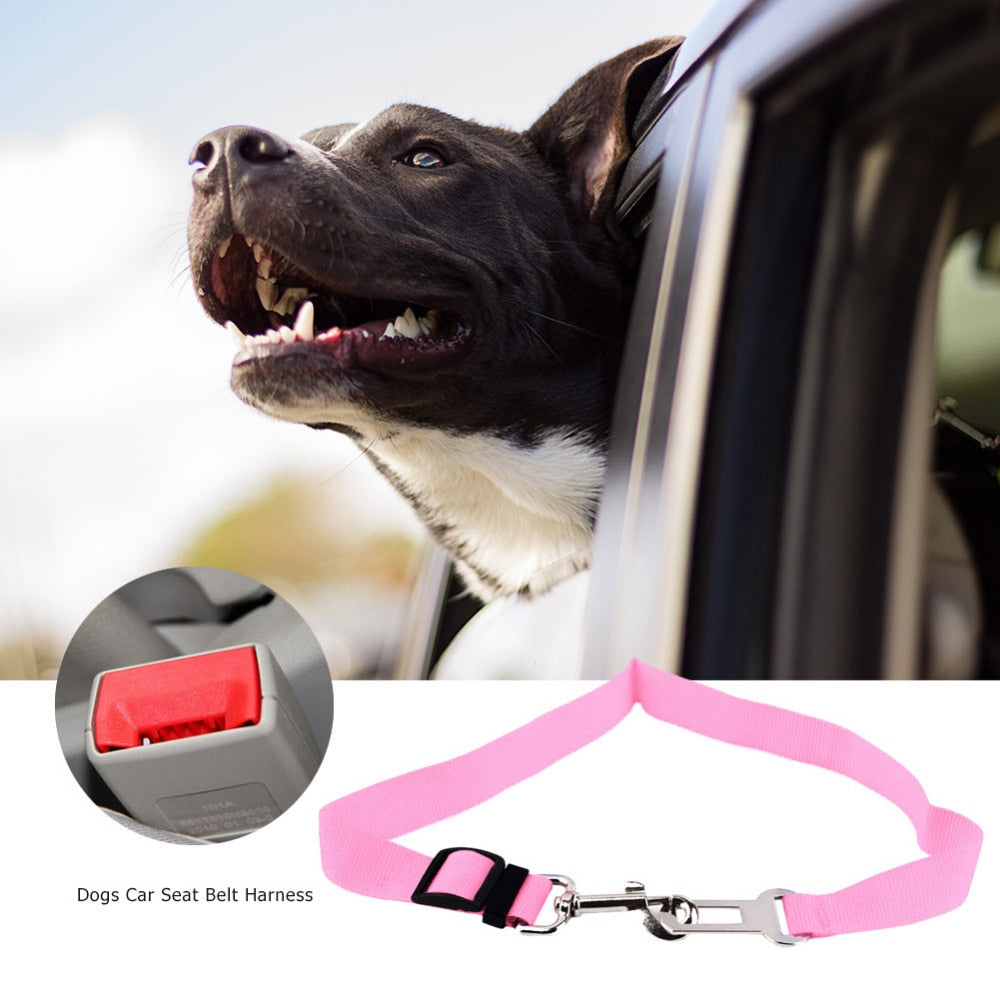 Vehicle Seatbelt Harness Leash