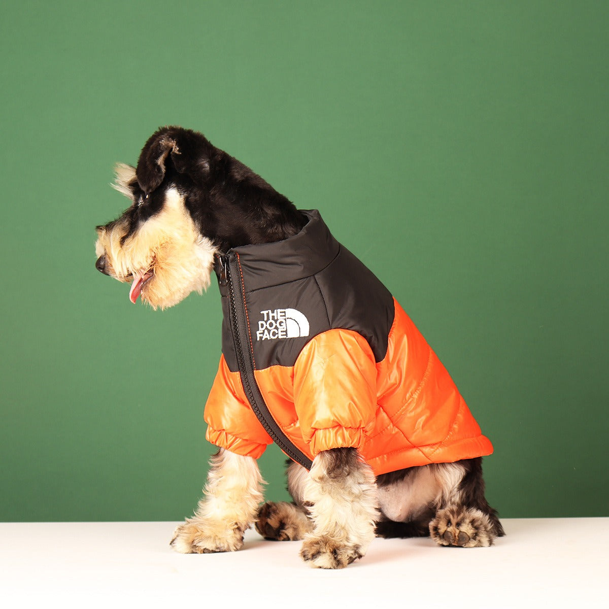 In Style Cotton Warm Jacket for Dogs