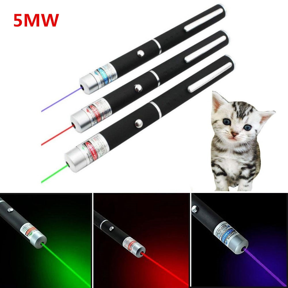 Interactive Laser Pen Pointer Toy