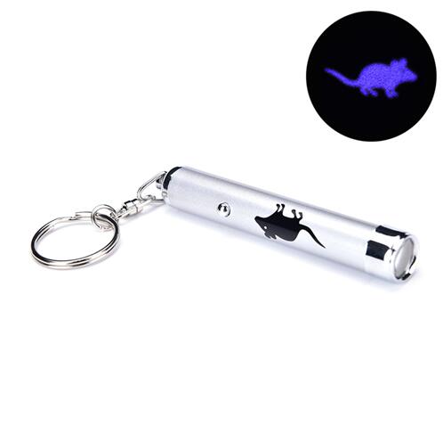 LED Laser Pointer Toy