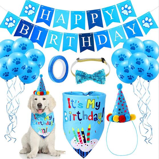 Birthday Bundle Kit for Dogs and Cat