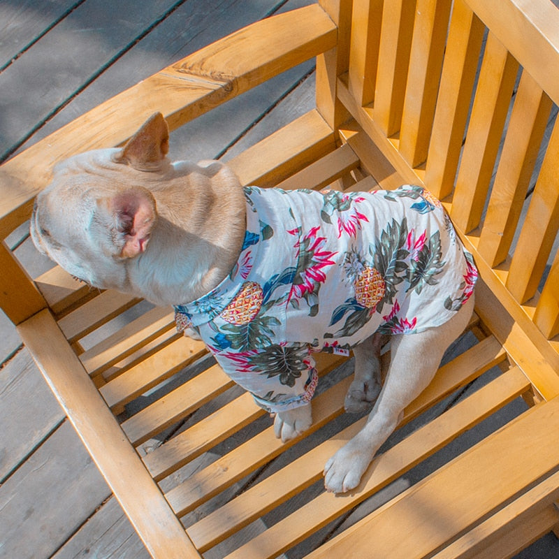 Summer Hawaiian Style Polo Shirt