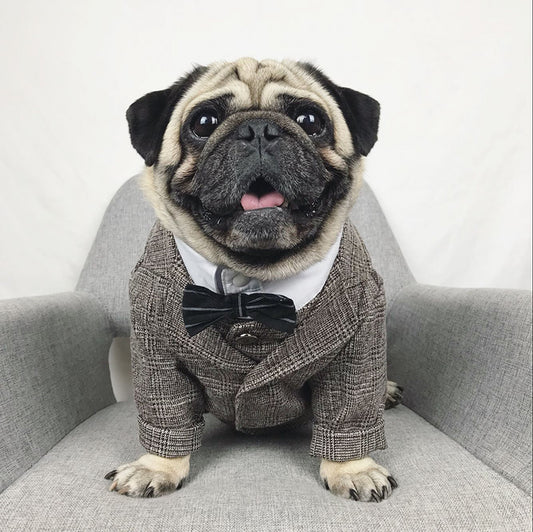 Special Occasion Suits for Dogs