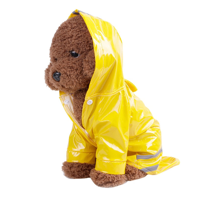 Shiny Summer Plain Raincoat