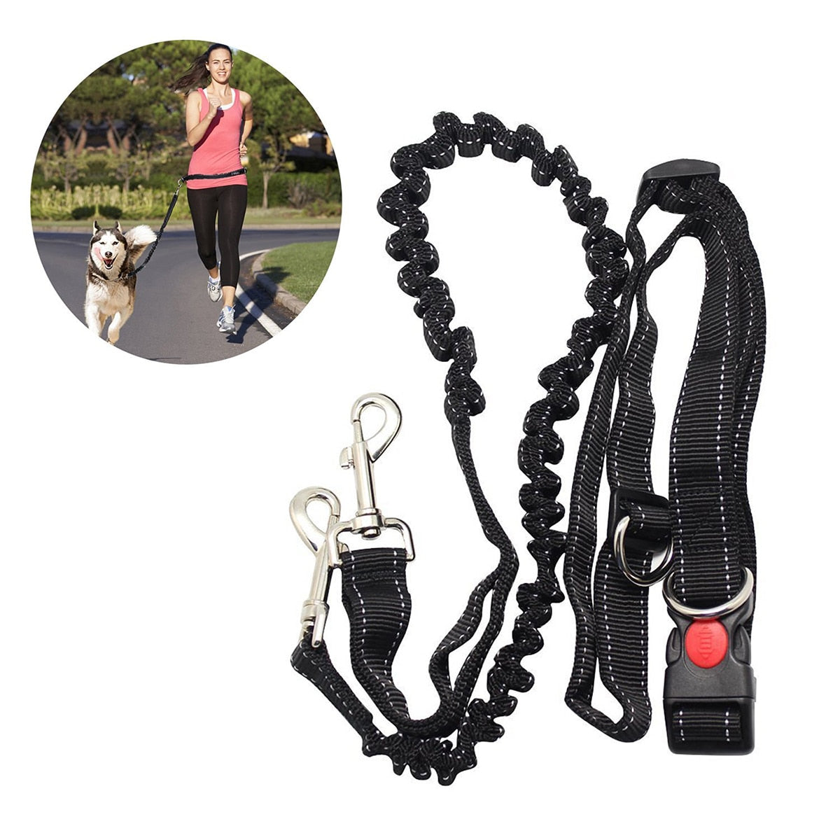 Waist Belt Dog Leash