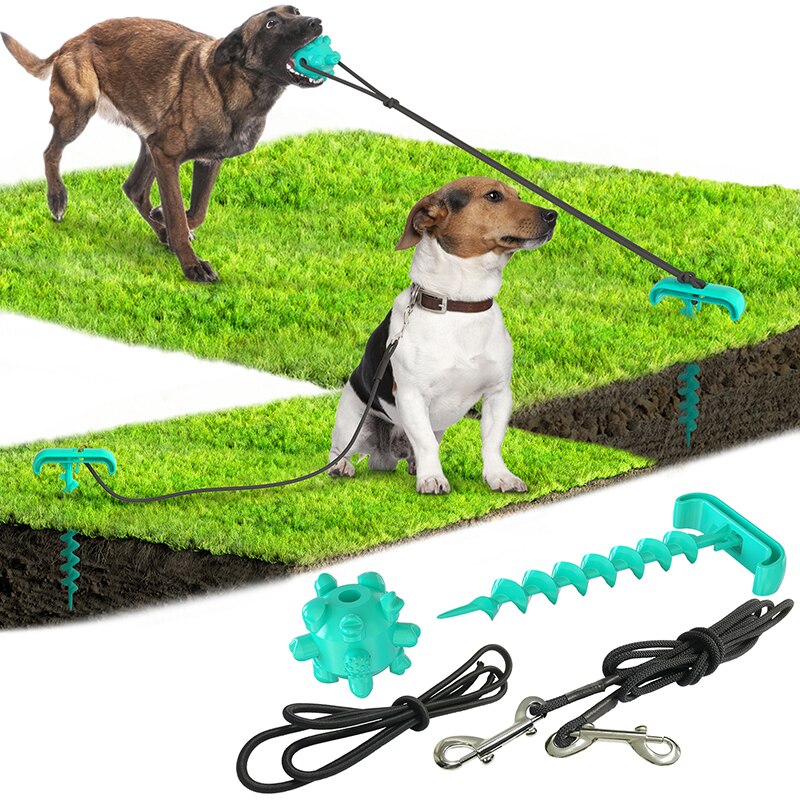 Interactive Outdoor Tying Peg Dog Toy