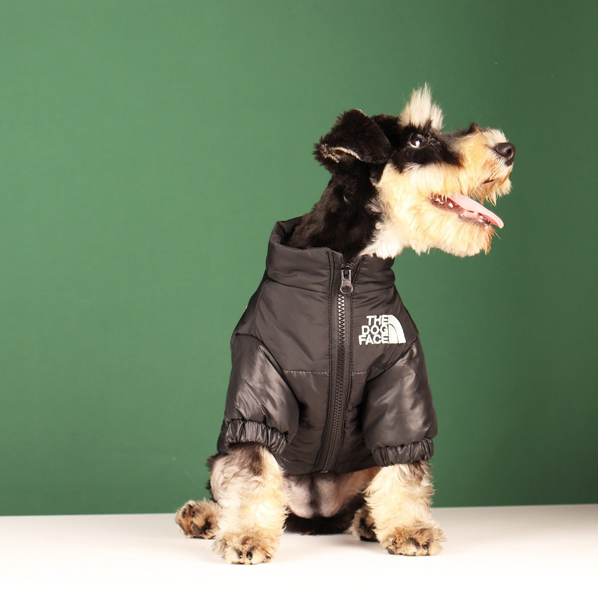 In Style Cotton Warm Jacket for Dogs