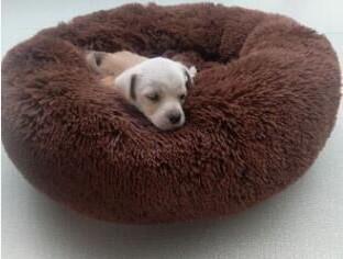 Donut Calming Bed