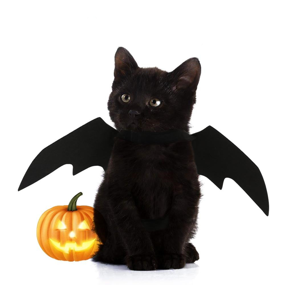 Halloween Bat's Wing Costume for Dogs and Cats