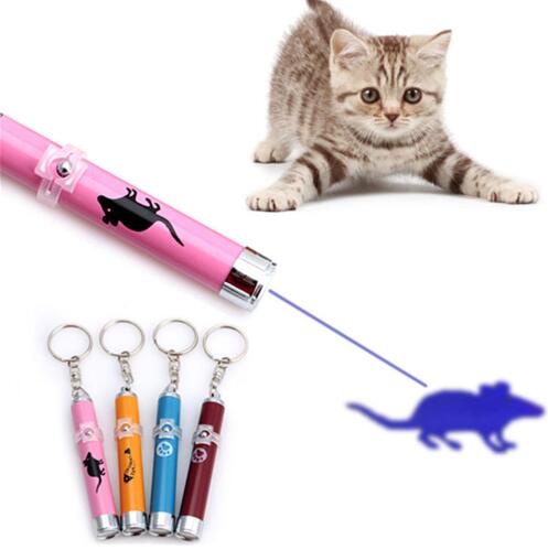 LED Laser Pointer Toy