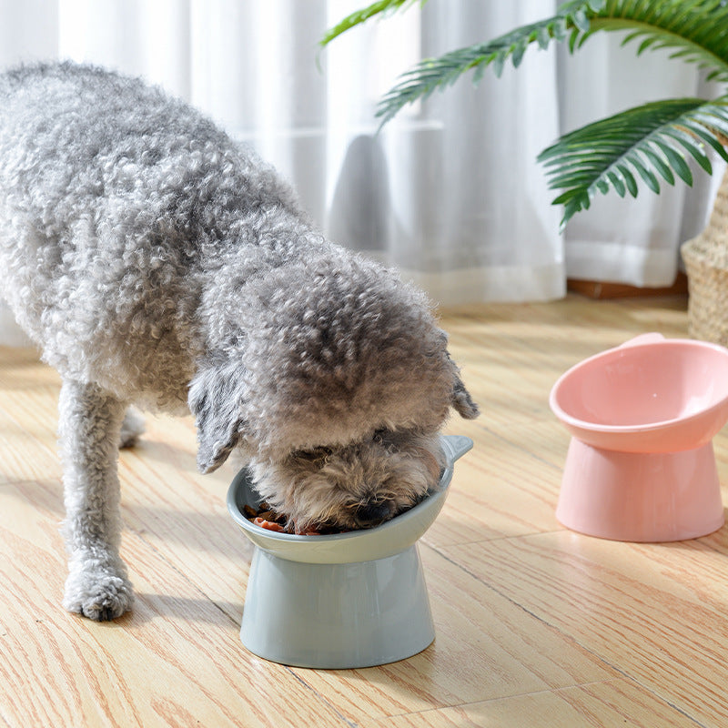 Elevated Cat Ear Feeding Bowl