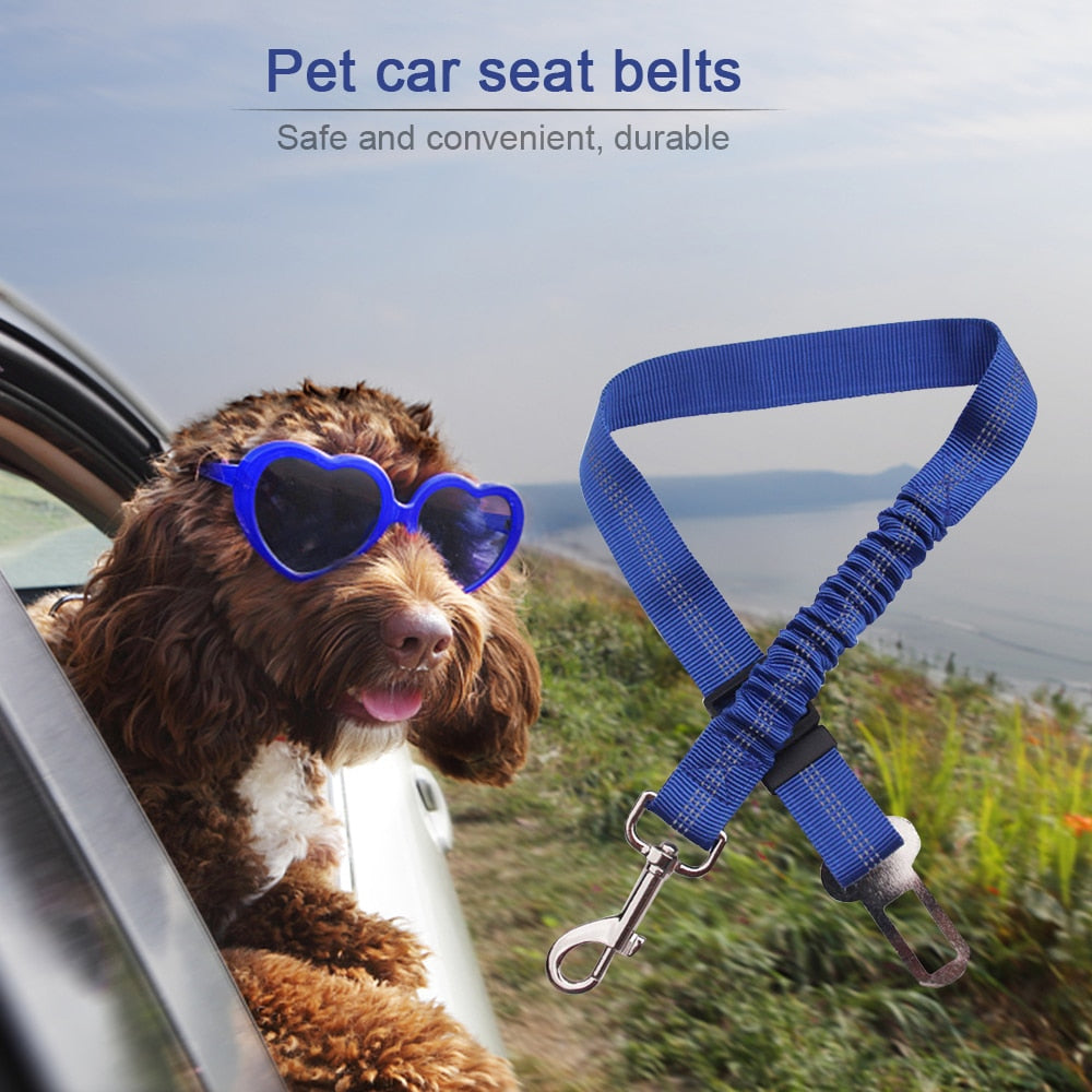 Pet Safety Belt for Cars