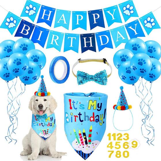 Birthday Bundle Kit for Dogs and Cat