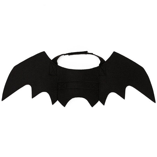 Scary Halloween Bat's Wing