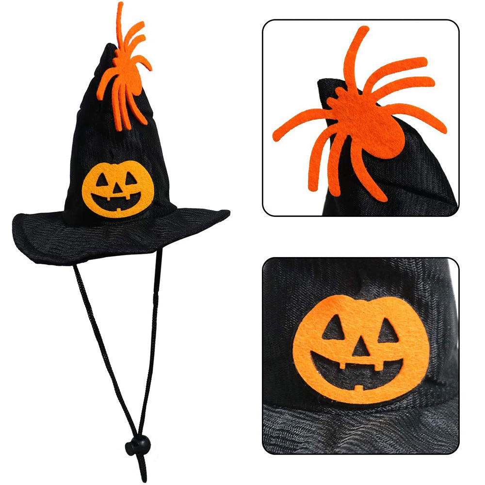 Witch Hat Halloween Costume for Cats and Dogs