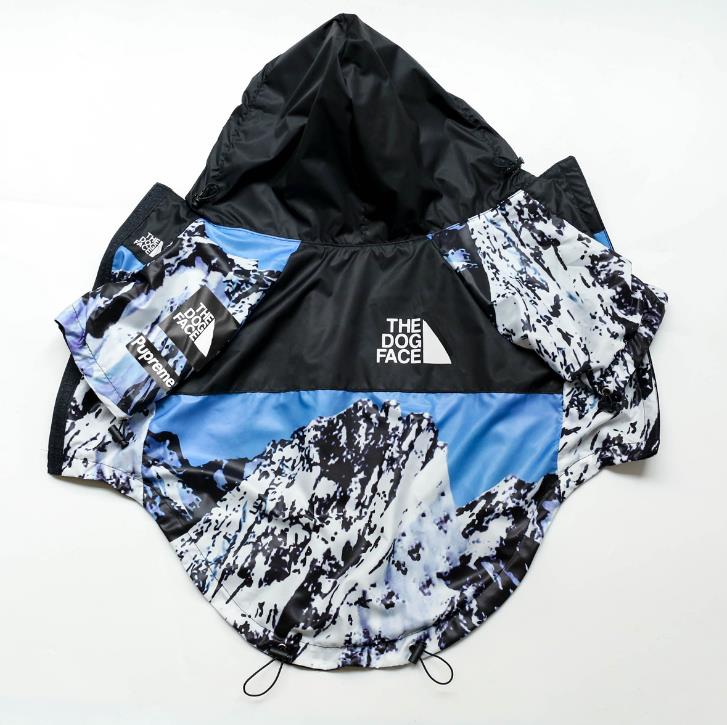 Windbreaker Hoodie