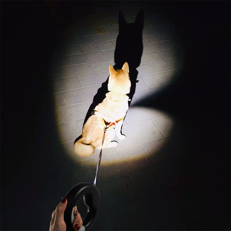 Retractable LED Leash