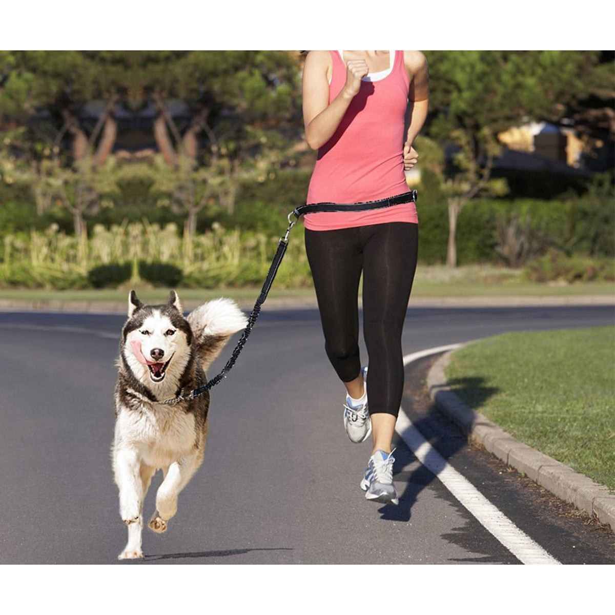 Waist Belt Dog Leash