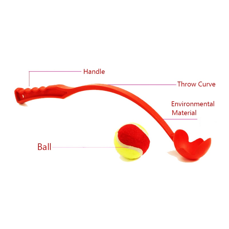 Interactive Ball Toy Training