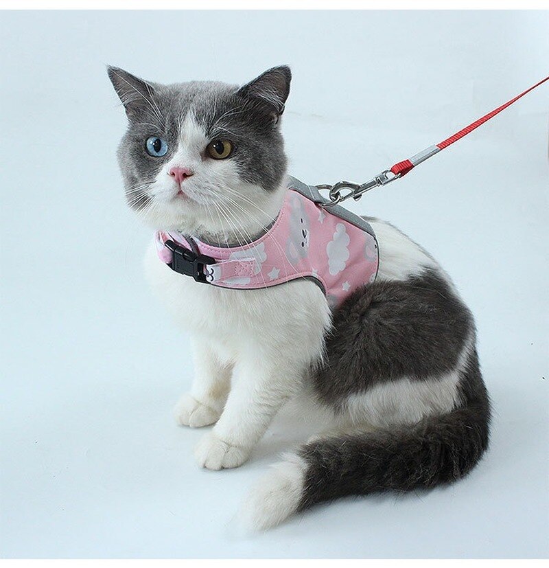 Polyester Pet Harness Set Reflective Traction Rope Set Breathable Chest And Back Cat Vest-style Chest Strap Small And Medium Cat