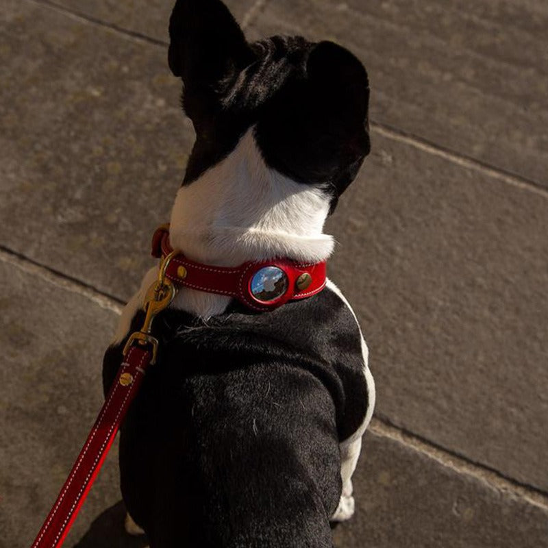 Colorful Aesthetic Airtag Collar