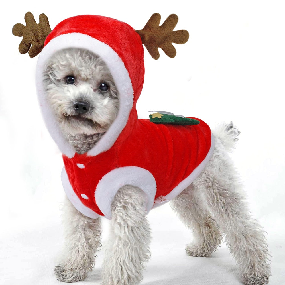 Santa Claus Christmas Costume