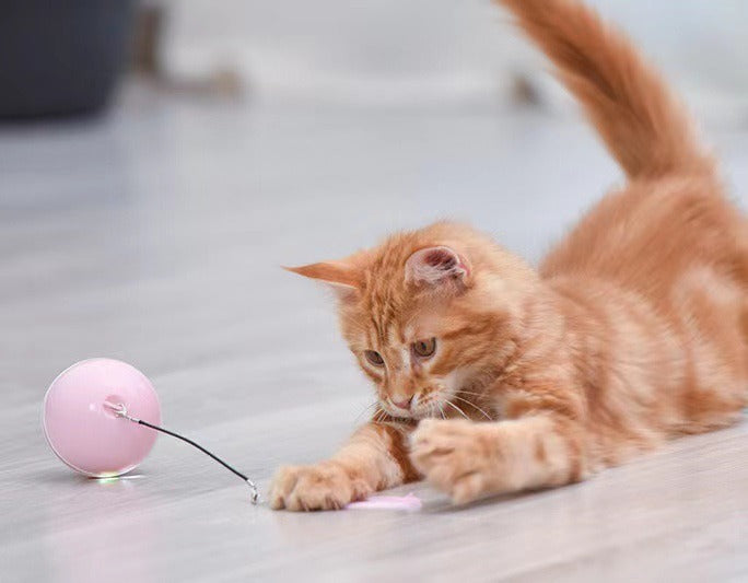 Teeth Self Cleaning Toy Catnip