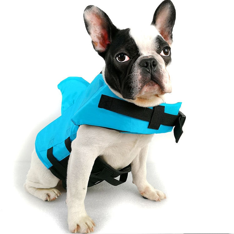 Summer Shark Life Vest