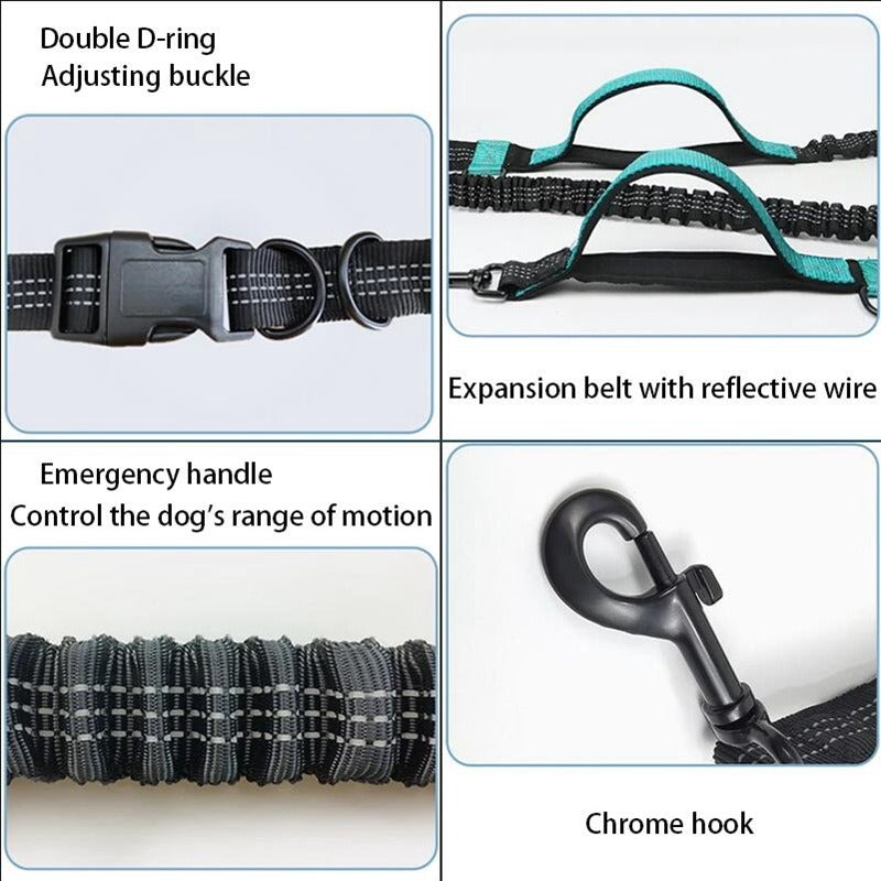 Reflective Traction and Portable Rope For Dogs