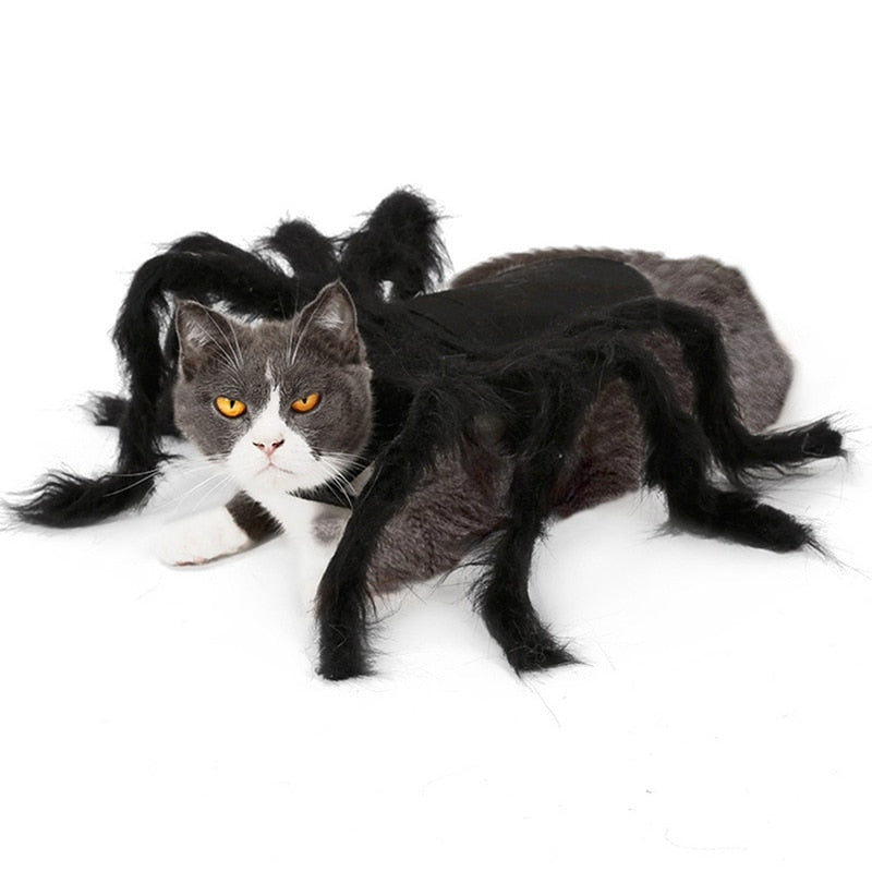 Soft Spider Costume for Cats and Dogs